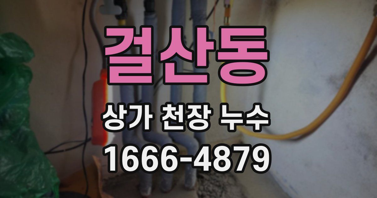 걸산동 상가 천장 누수