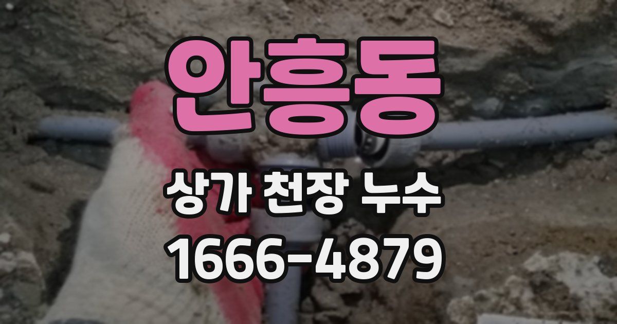안흥동 상가 천장 누수