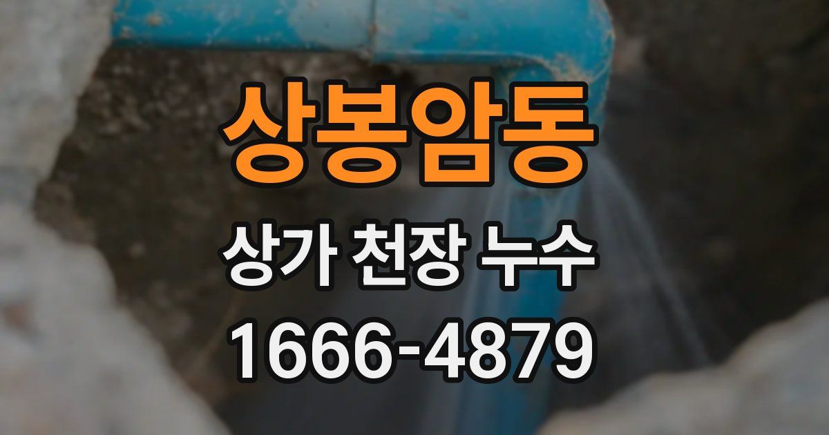 상봉암동 상가 천장 누수
