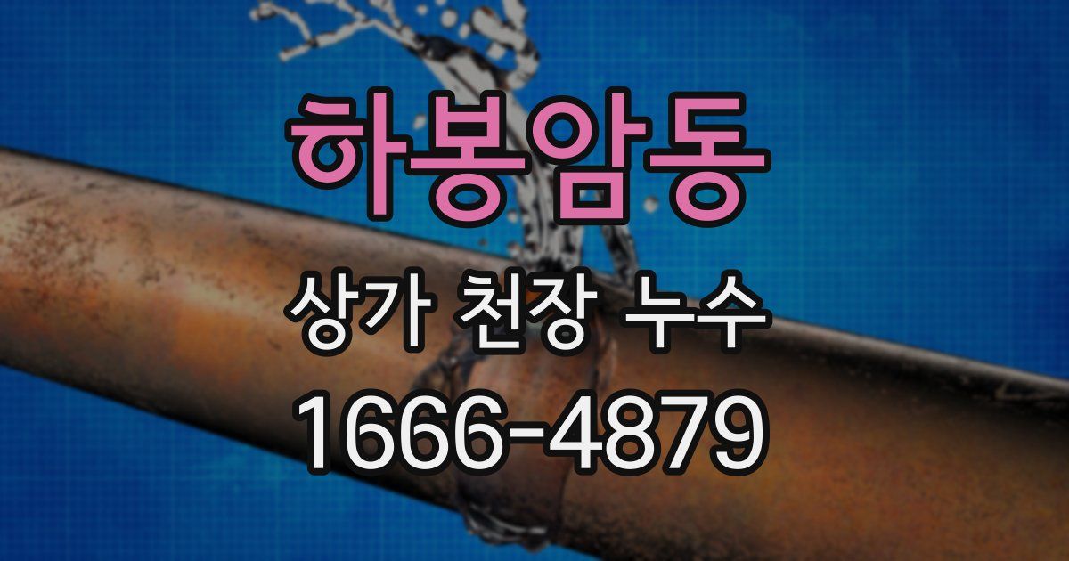 하봉암동 상가 천장 누수