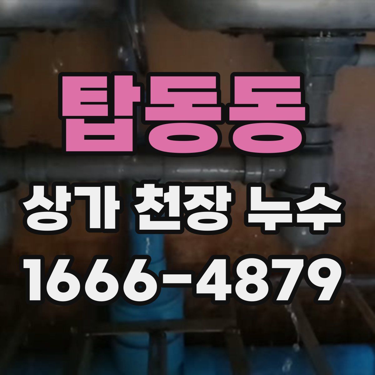 탑동동 상가 천장 누수