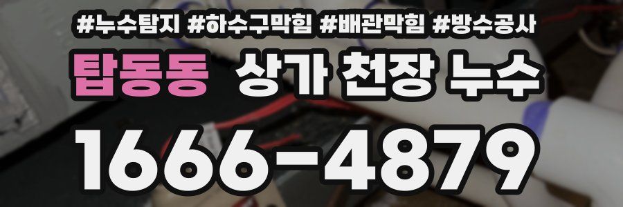탑동동 상가 천장 누수