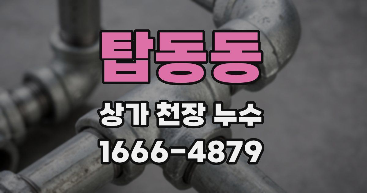 탑동동 상가 천장 누수