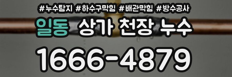 일동 상가 천장 누수