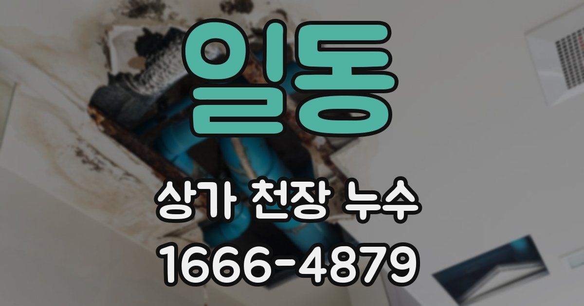 일동 상가 천장 누수