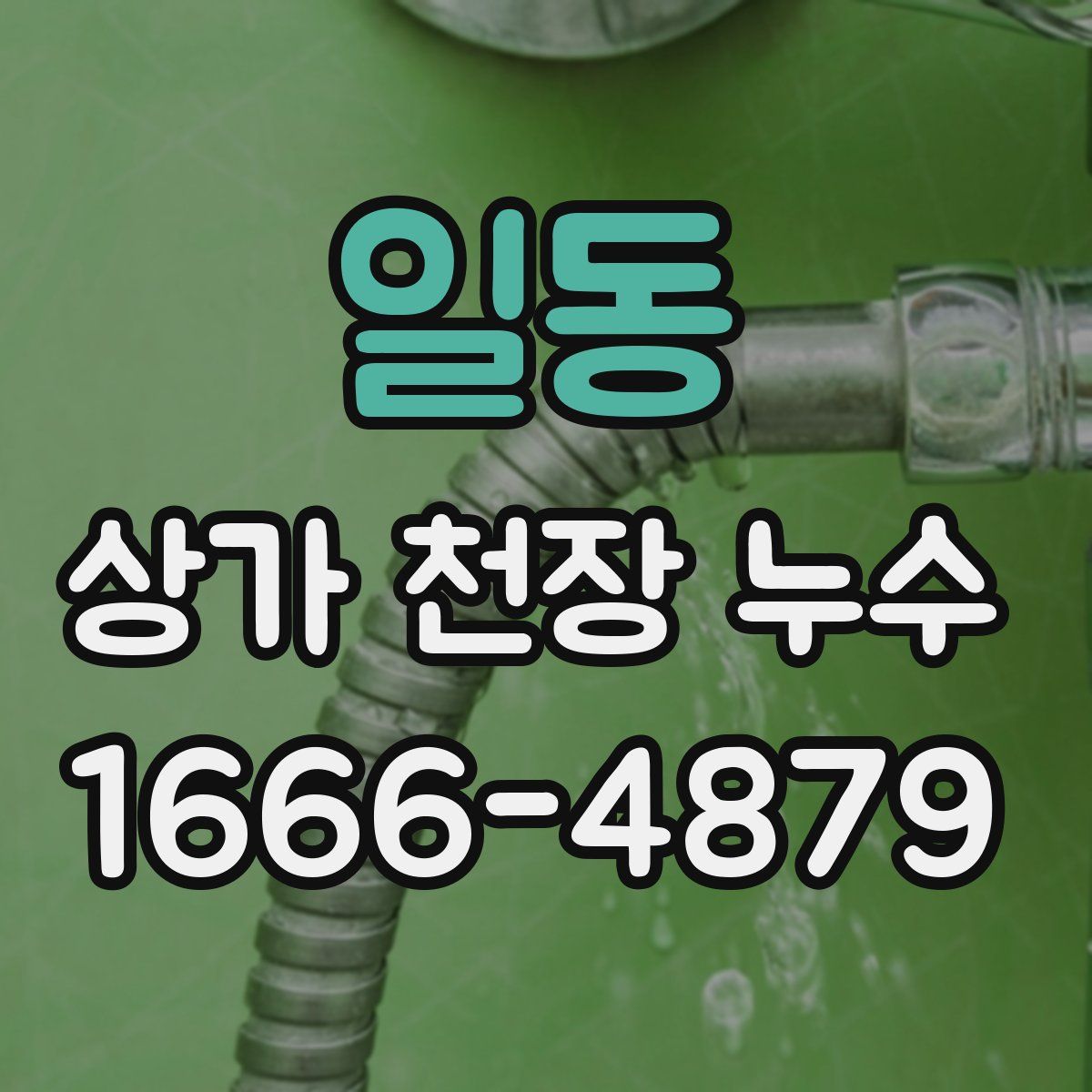 일동 상가 천장 누수