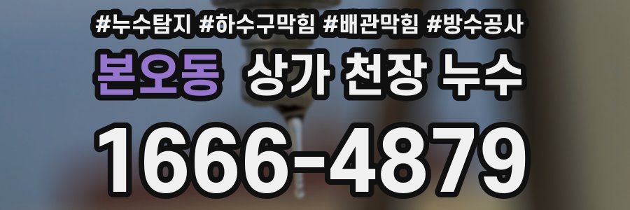 본오동 상가 천장 누수