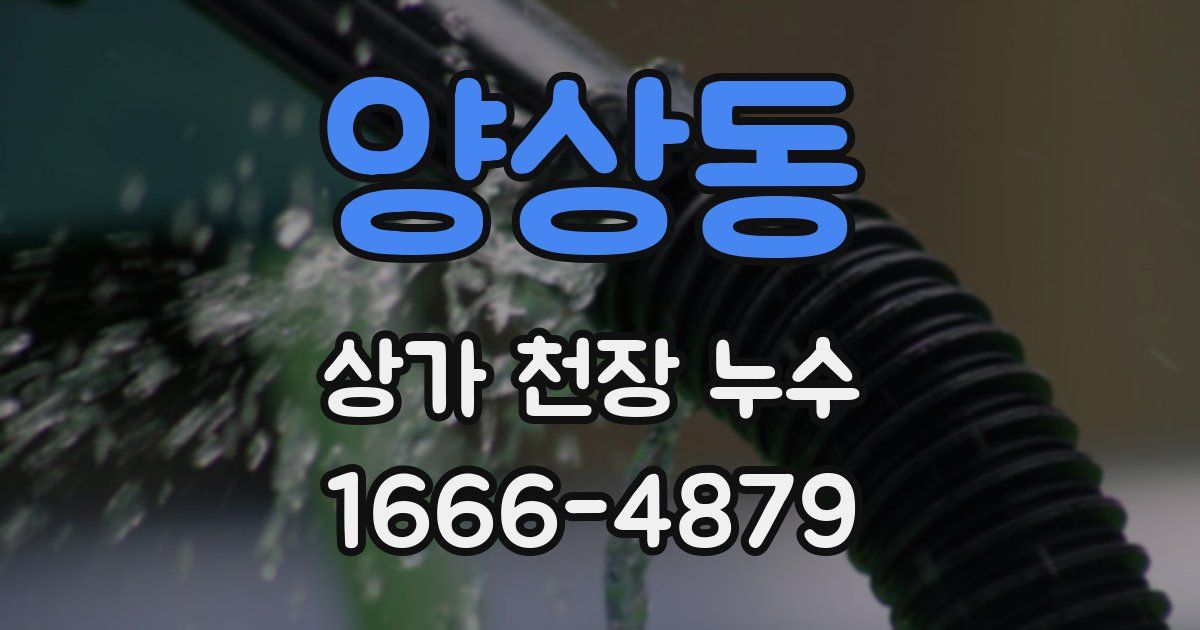 양상동 상가 천장 누수