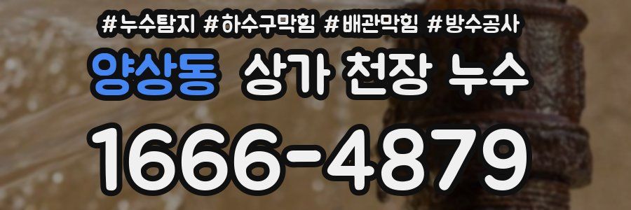 양상동 상가 천장 누수