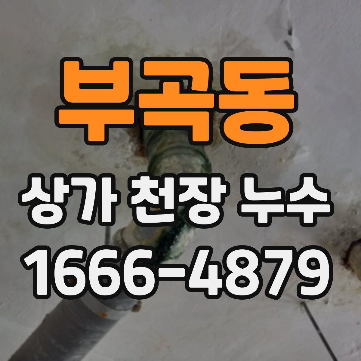 부곡동 상가 천장 누수