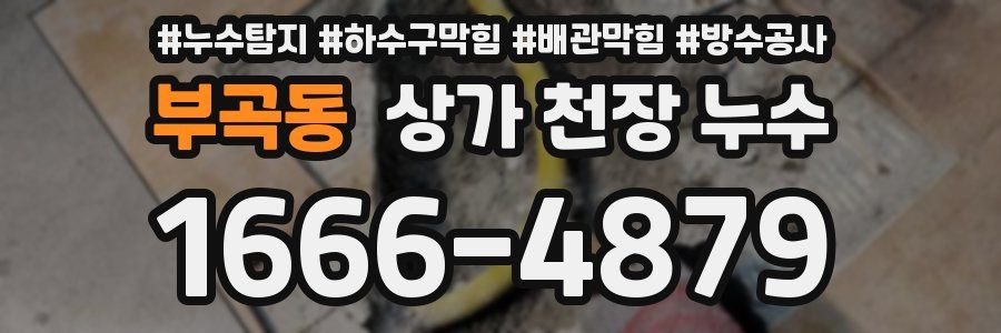부곡동 상가 천장 누수