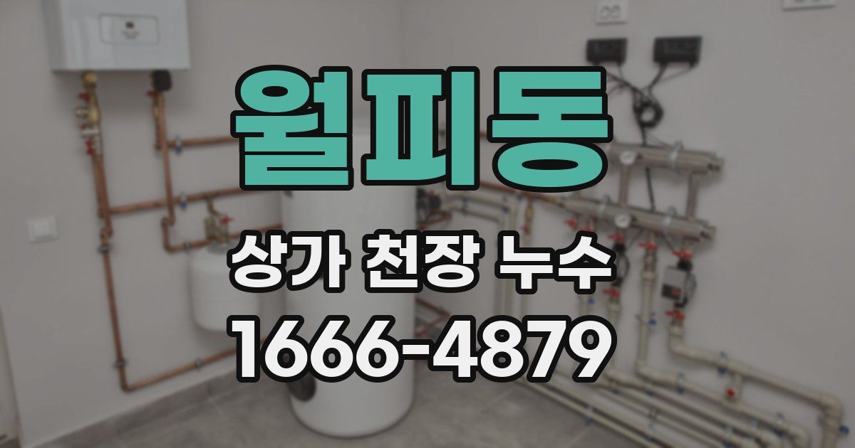 월피동 상가 천장 누수