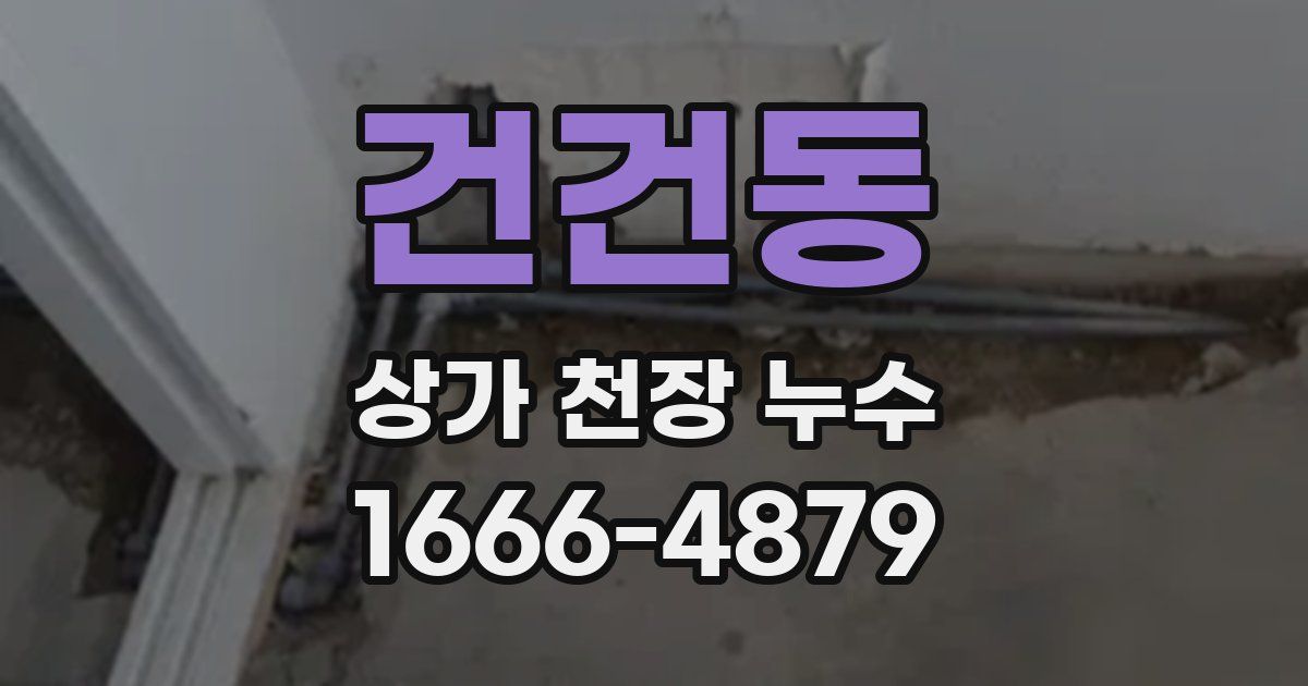 건건동 상가 천장 누수