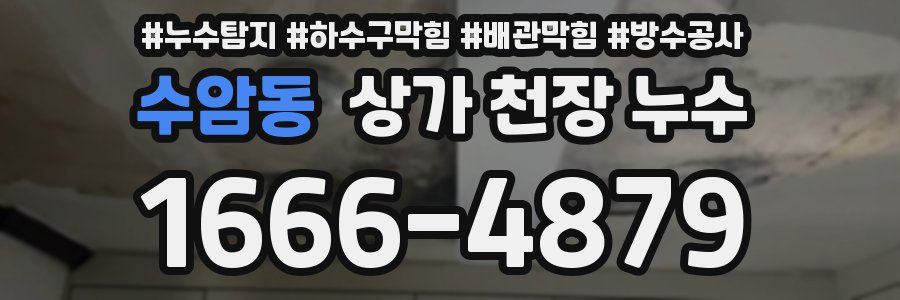 수암동 상가 천장 누수