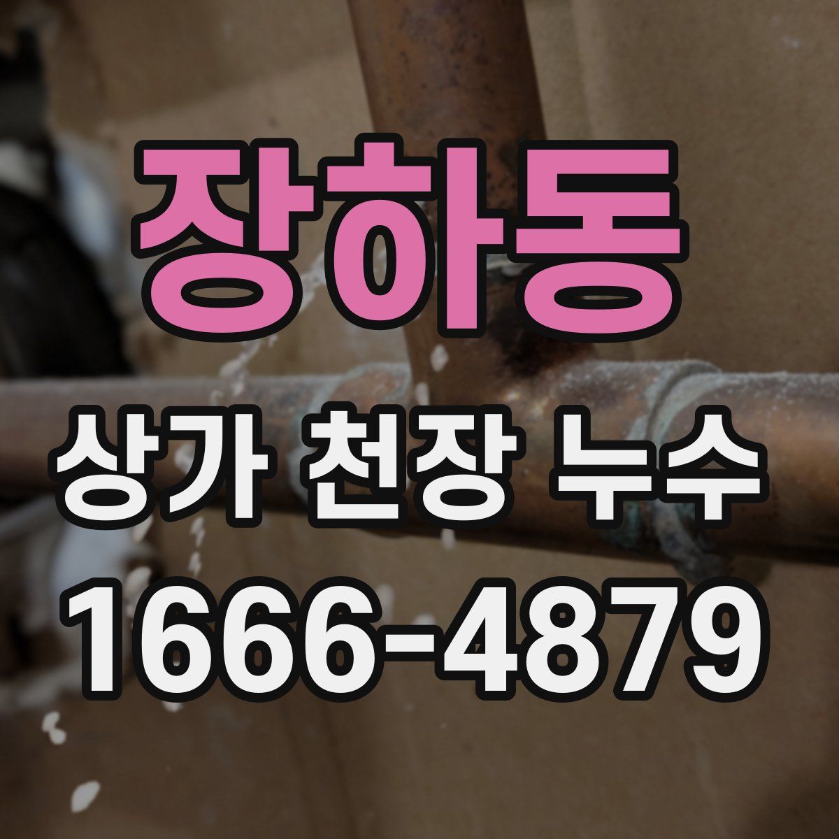 장하동 상가 천장 누수