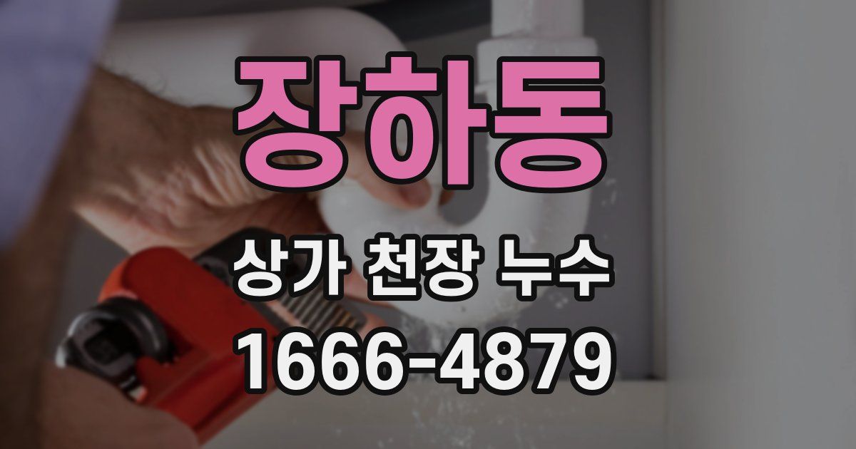 장하동 상가 천장 누수