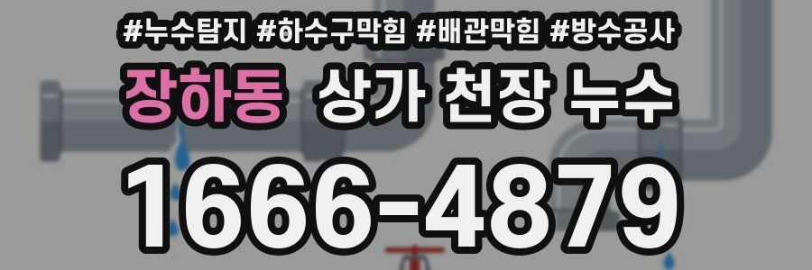 장하동 상가 천장 누수
