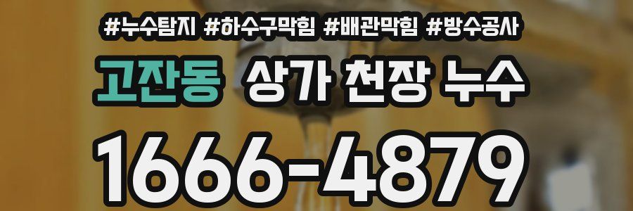 고잔동 상가 천장 누수