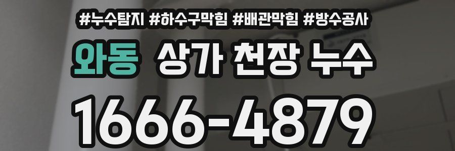 와동 상가 천장 누수