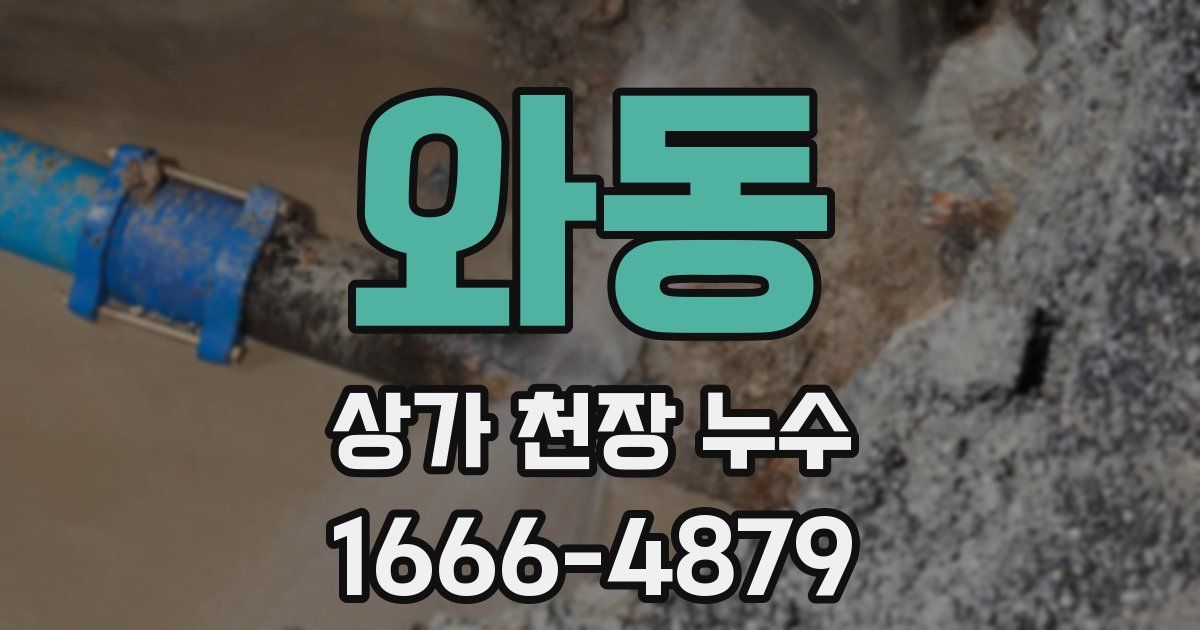 와동 상가 천장 누수