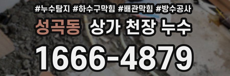 성곡동 상가 천장 누수