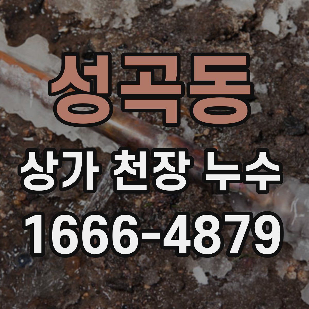 성곡동 상가 천장 누수