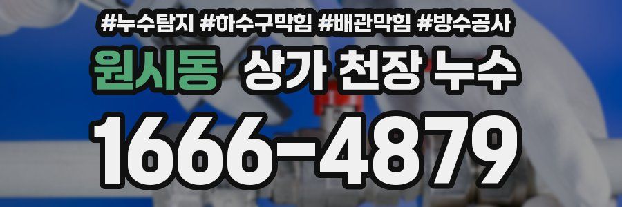 원시동 상가 천장 누수