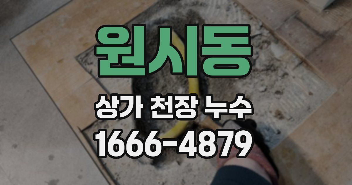 원시동 상가 천장 누수