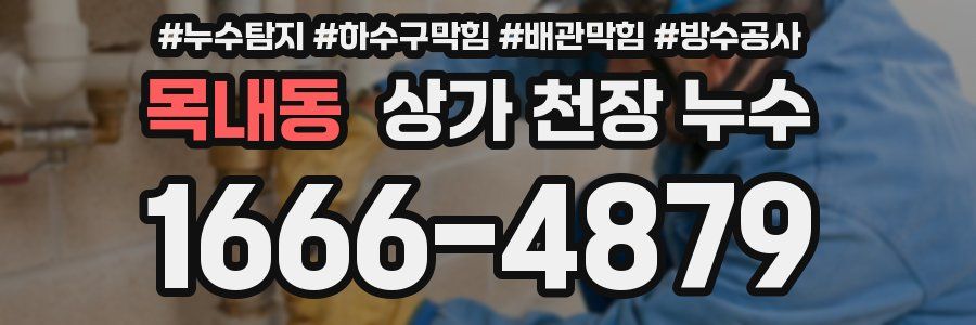 목내동 상가 천장 누수