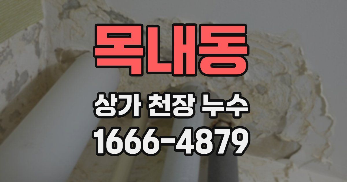 목내동 상가 천장 누수