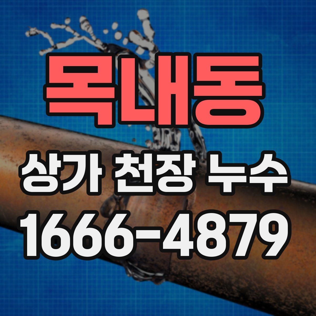 목내동 상가 천장 누수