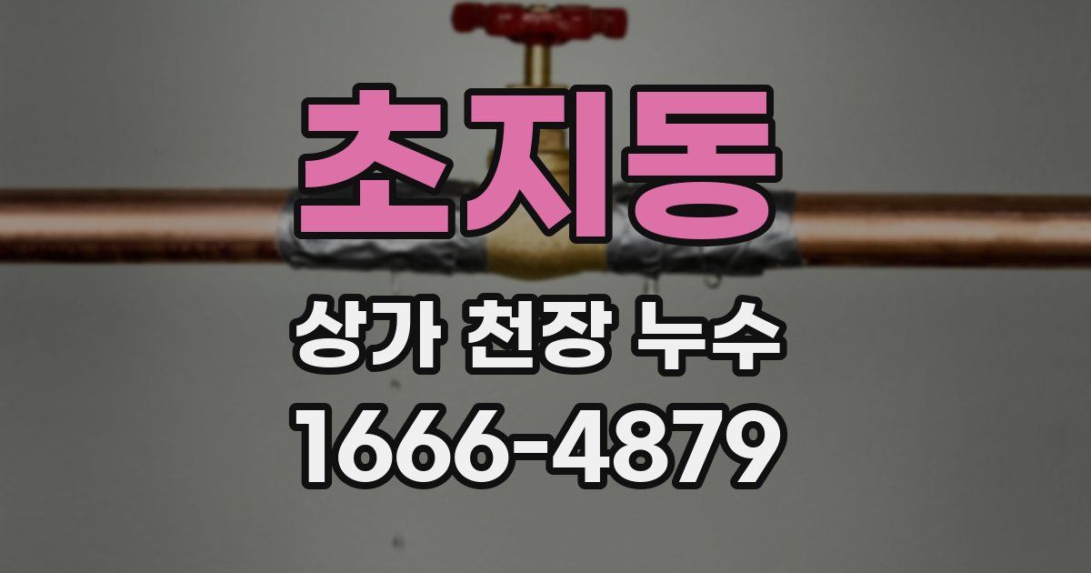 초지동 상가 천장 누수