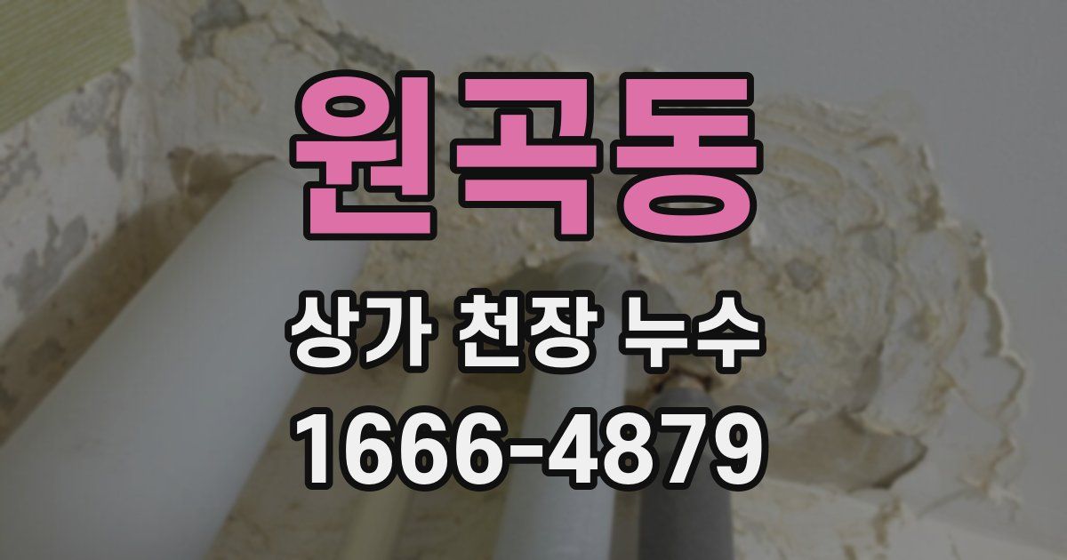 원곡동 상가 천장 누수