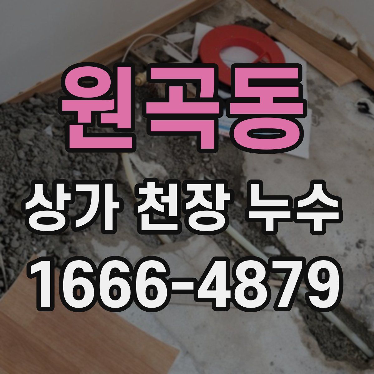 원곡동 상가 천장 누수