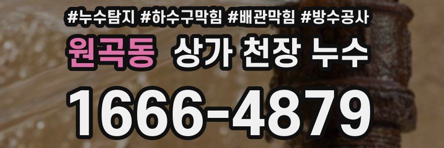 원곡동 상가 천장 누수
