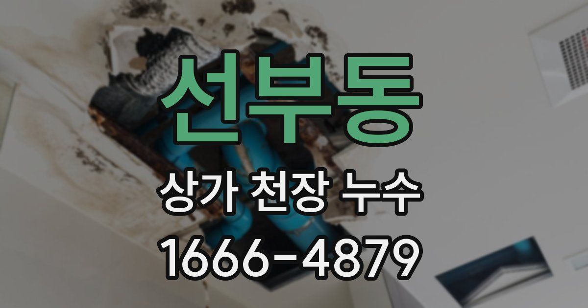 선부동 상가 천장 누수
