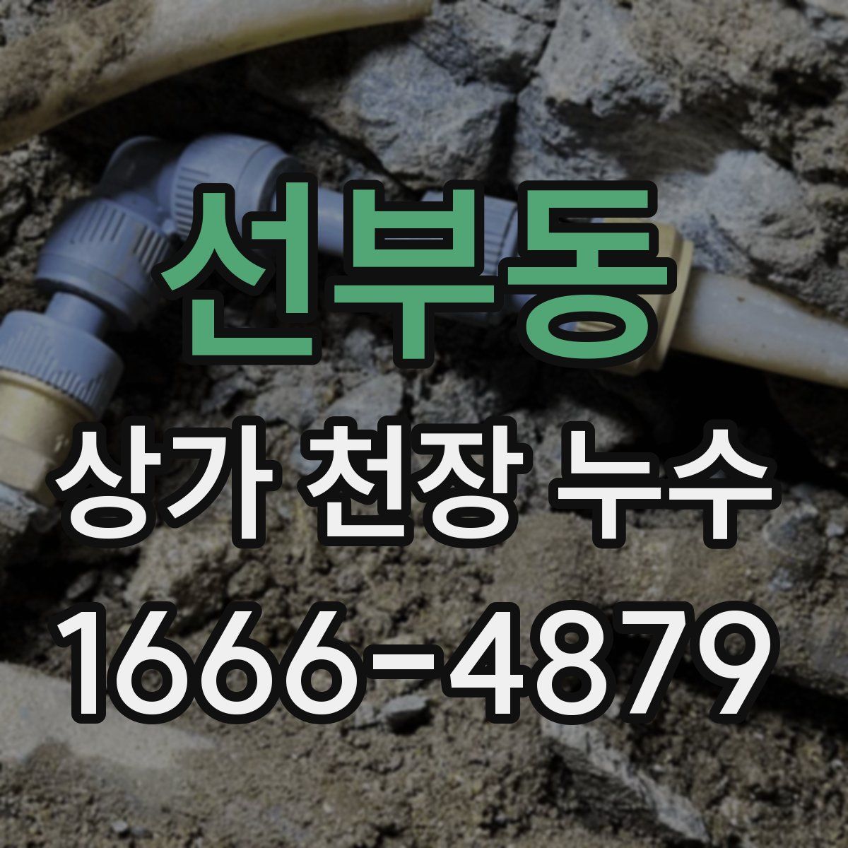 선부동 상가 천장 누수