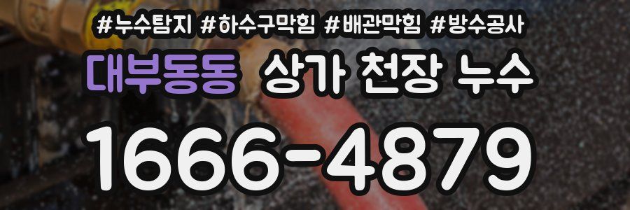 대부동동 상가 천장 누수