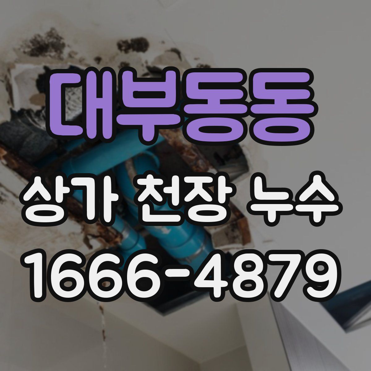 대부동동 상가 천장 누수