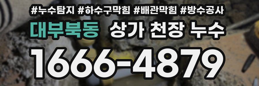 대부북동 상가 천장 누수