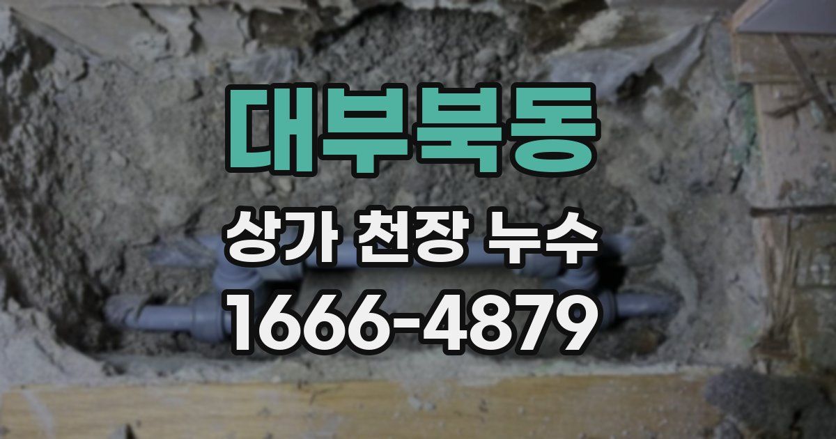 대부북동 상가 천장 누수