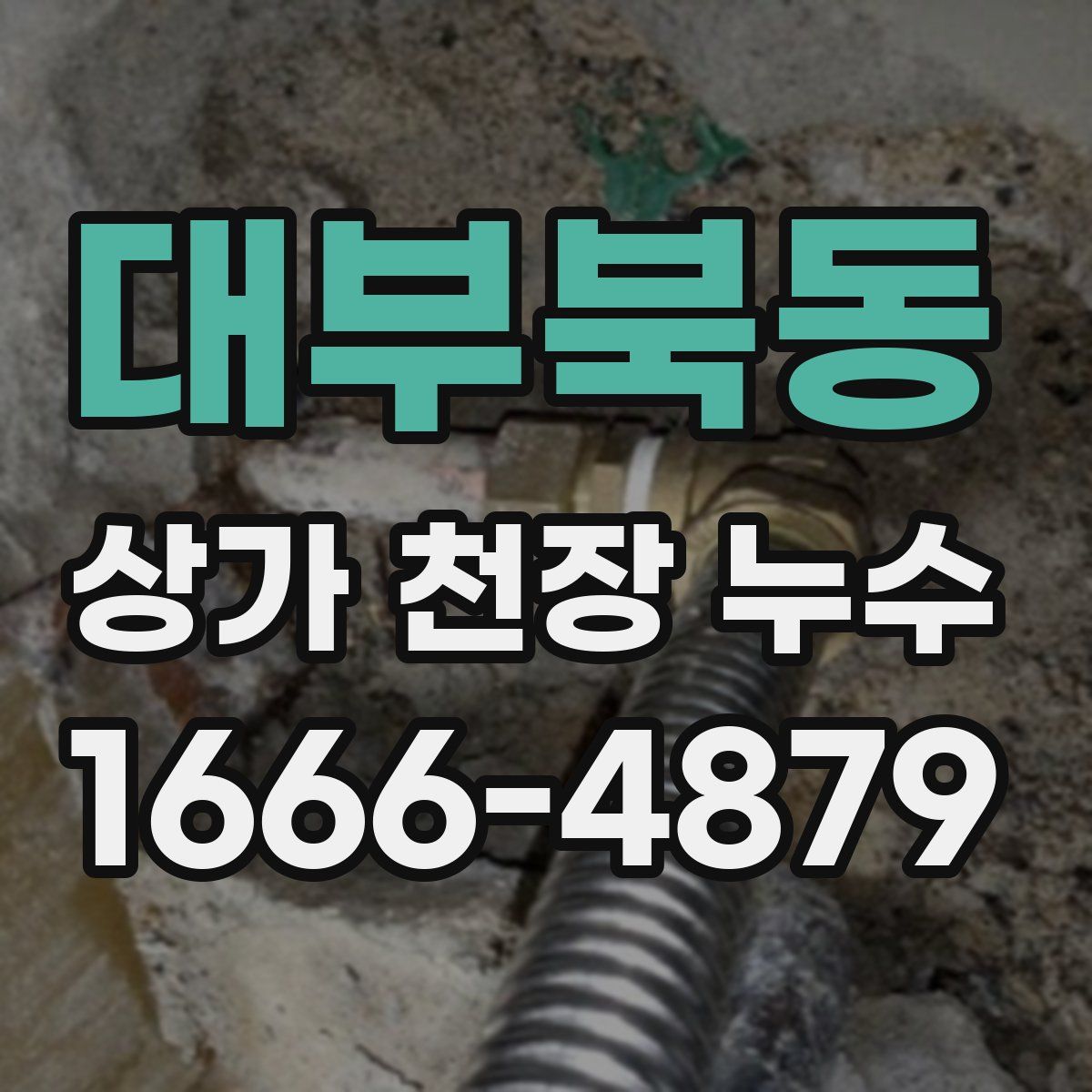 대부북동 상가 천장 누수