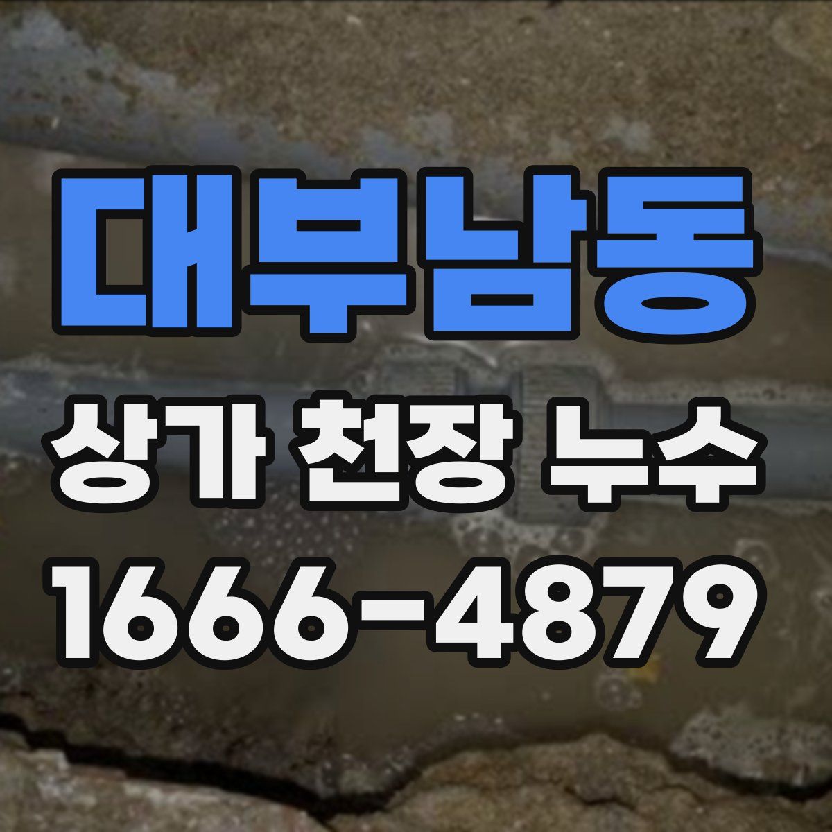 대부남동 상가 천장 누수