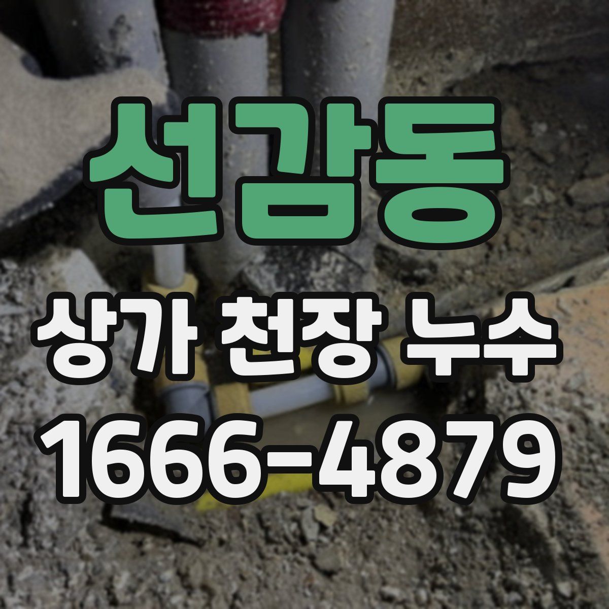선감동 상가 천장 누수