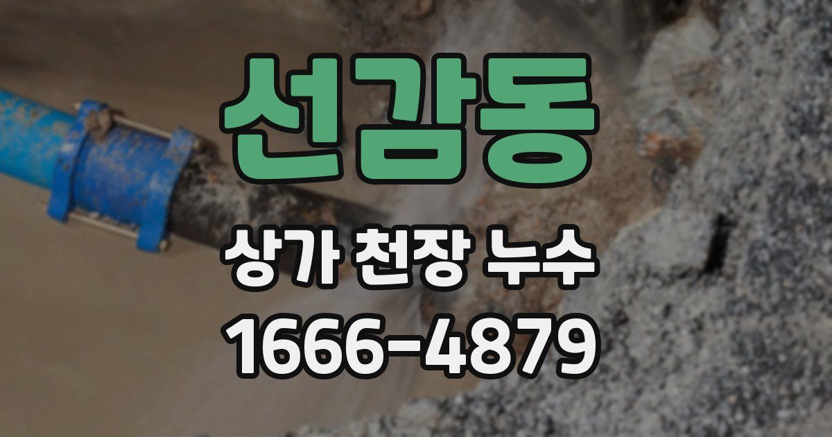 선감동 상가 천장 누수