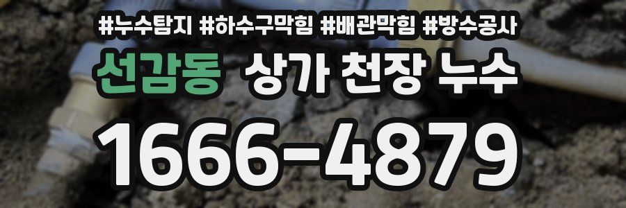 선감동 상가 천장 누수