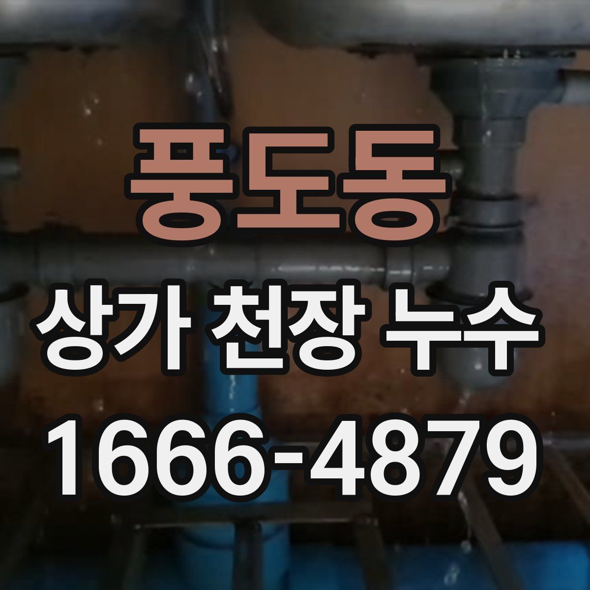 풍도동 상가 천장 누수