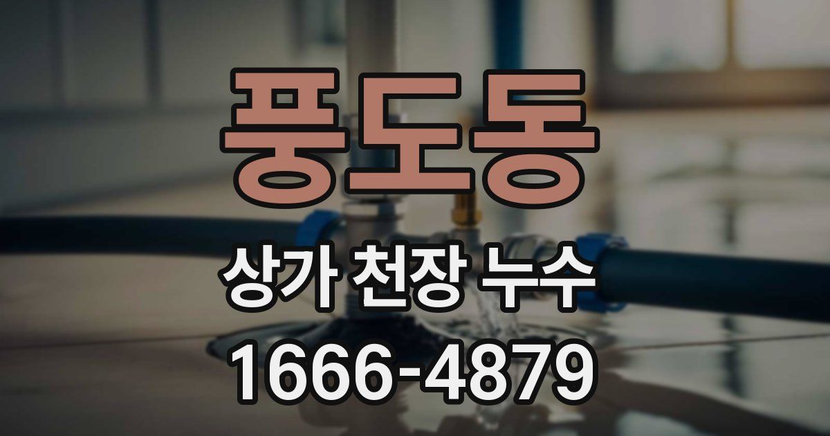 풍도동 상가 천장 누수