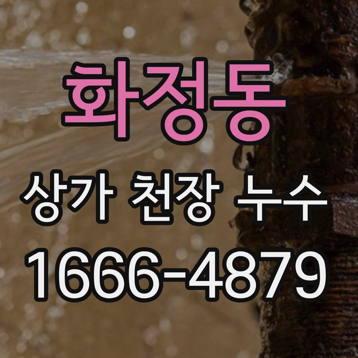 화정동 상가 천장 누수