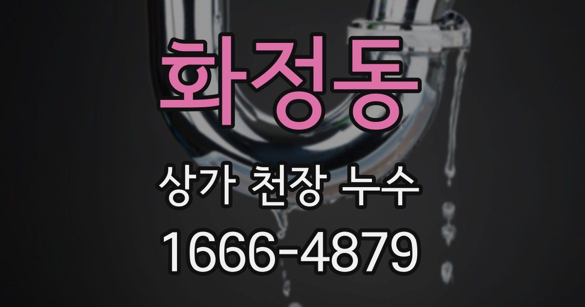 화정동 상가 천장 누수